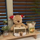 은비랜드 | 2026년 새해가 밝았습니다 이제는 더이상 물러날 20대가 없다! : 12월 서울 일상글