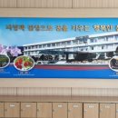 삼양초등학교 이미지