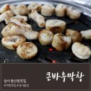 큰바우막창 이미지