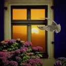 출입국.외국인 행정사사무소 이미지