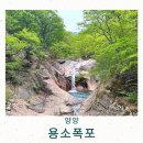 폭포약수 | 용소폭포 위치 설악산 주전골 강원도 양양 가볼만한곳