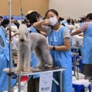 골든블랙123 이미지