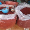 광일상회 이미지