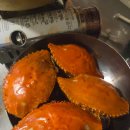 술한잔생각날때식당 | 부평시장_연평포차_싱싱한 해산물요리에 술한잔이 생각날 때