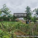 오뚜기부동산공인중개사사무소 이미지