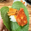 지구전자 이미지