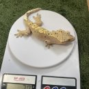 뱀뱀렙타일 - 노원구 한글비석로 444 | 뱀뱀렙타일