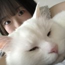 현우양꼬치 | 2025년 | 밤티일상생활1