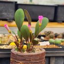 현인메디칼 이미지