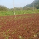 종현농장 이미지