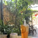 랑커피 | [다낭 여행]베트남 다낭,미케비치주변,랑커피 Lang Coffee 카페