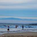 와이키키 이미지