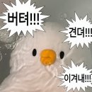 열하나