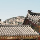 서수작은도서관 | 경복궁 방문 리뷰 한국어 무료해설 / 궁중문화축전 체험활동 스탬프투어 경복궁 공연 관람후기 사진 많음