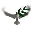 태백안동축산 이미지