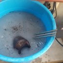 윤석자동차공업사 이미지