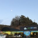 청송 | 청송 소노벨 맛집 청송바다맛집 바다세트솔직후기