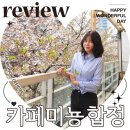 카페미뇽 | 합정 카페 벚꽃길 테라스 카페미뇽 내돈내산 후기