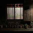 꽃신민박 이미지