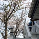 아그리나 시즌2 이미지