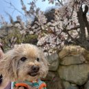 등산식당 이미지