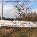 부석주유소 Daum카페