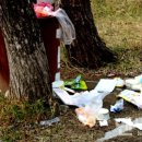 동해-단속-46 이미지