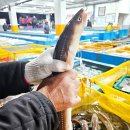 (주)오렌지씨