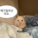 그리고 또 겨울