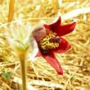 (주)서로돕는사람들 이미지