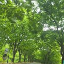 오랜친구들 - 강서구 마곡중앙6로 42 | 파인크리크cc/ 오랜 친구들과 함께한 라운딩 후기