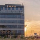 브라운 도트 이미지