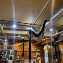 늘푸른2길 이미지