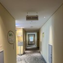 펫츠베이 제주아라점 | 국내 여행] #2 아이들과 함께 떠나기 딱 좋아! 김포 라마다 앙코르 바이 윈덤 호텔 1박 2일 호캉스 후기 🏨💙