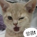 (주)이누프린트 | 일주일동안 사경을 헤맨 사람