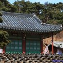 불쭈꾸미 이미지