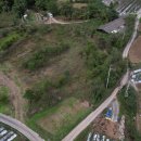 신녕면행정복지센터 이미지