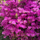 올레길 도심형 2코스 이미지