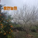 선문농원 이미지