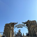 마리벨317 A 이미지