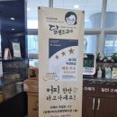 달보드레 이미지