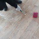 크린솔루션 이미지