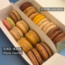파리 마카롱 2대 맛집 라뒤레(LADUREE) vs. 피에르 에르메(Pierre Herme) 맛 비교 후기
