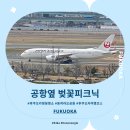 문내외2공원 공중화장실 | 후쿠오카 벚꽃 명소 숨겨진 스팟, 1600그루 히가시히라오 공원 후기