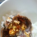 오신마을회관 Daum카페