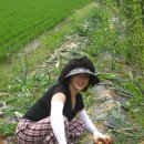 흥부 농장 이미지