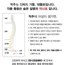 수인역건강원