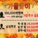 미스터살롱 이미지