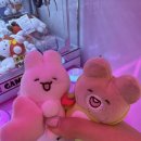 TOP 인형뽑기 이미지