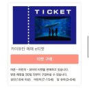 Let‘s go 레고 | 오사카 가이유칸 수족관 입장권 구매 예약 시간 가격 해유관 고래상어 오픈런 짐보관